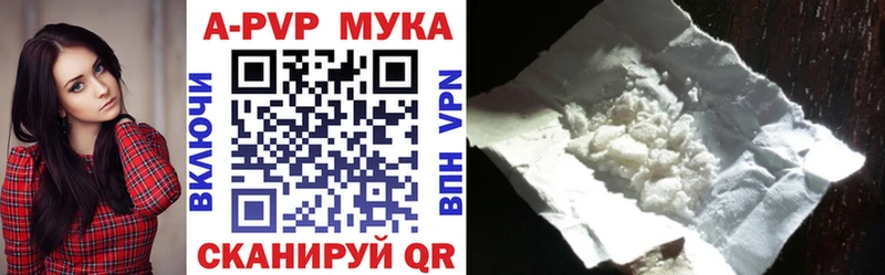 Alfa_PVP СК Ачхой-Мартан