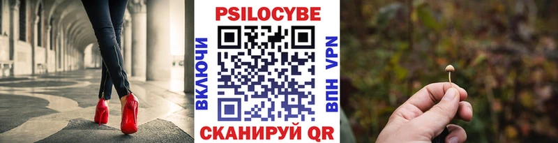 Псилоцибиновые грибы Magic Shrooms Ачхой-Мартан